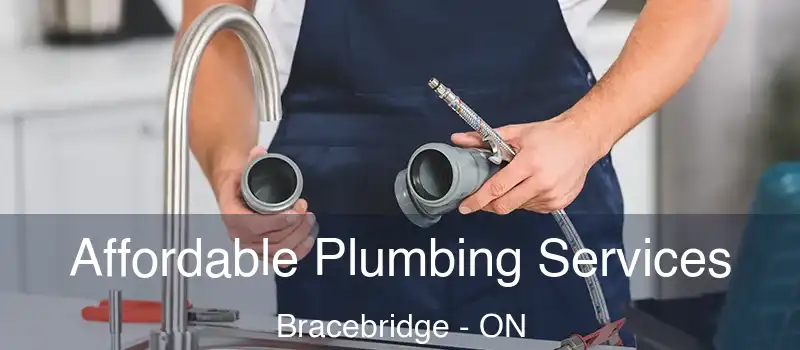  Affordable Plumbing Services Bracebridge - ON