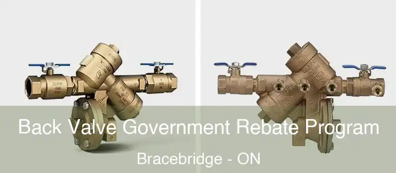  Back Valve Government Rebate Program Bracebridge - ON