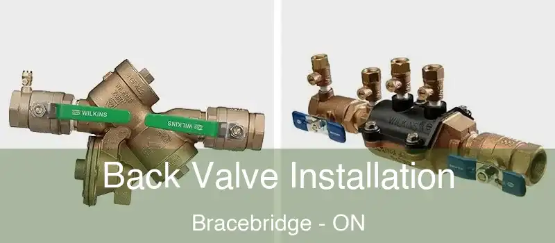  Back Valve Installation Bracebridge - ON