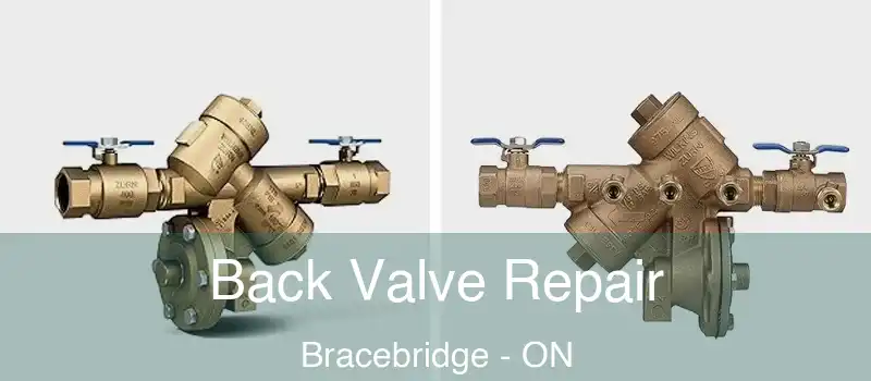  Back Valve Repair Bracebridge - ON