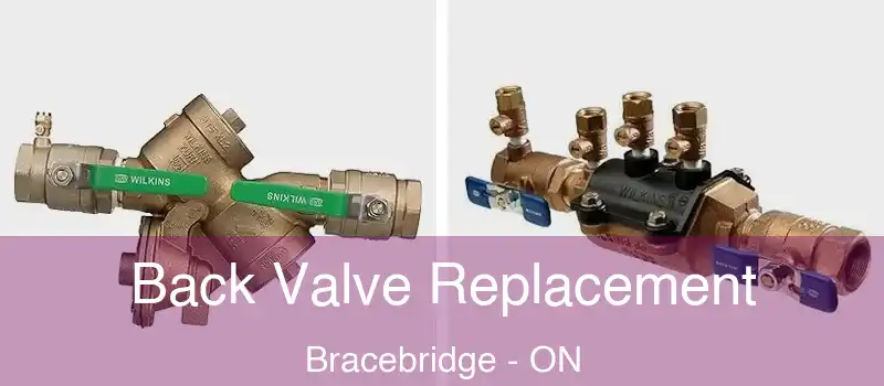  Back Valve Replacement Bracebridge - ON