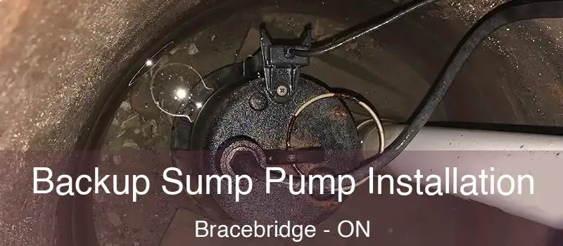  Backup Sump Pump Installation Bracebridge - ON