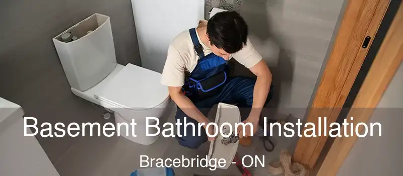  Basement Bathroom Installation Bracebridge - ON