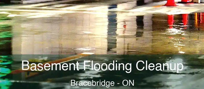  Basement Flooding Cleanup Bracebridge - ON