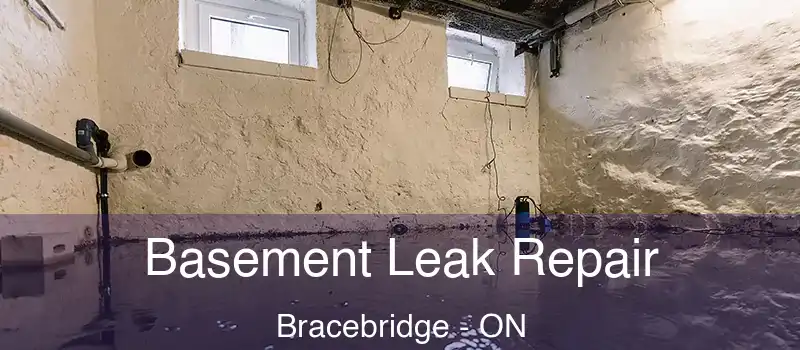  Basement Leak Repair Bracebridge - ON