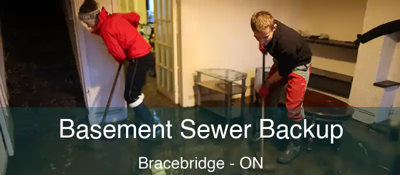  Basement Sewer Backup Bracebridge - ON