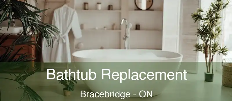  Bathtub Replacement Bracebridge - ON