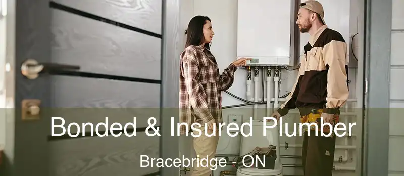  Bonded & Insured Plumber Bracebridge - ON