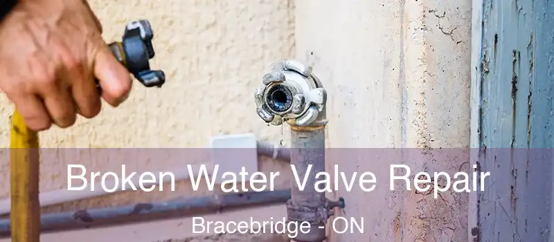  Broken Water Valve Repair Bracebridge - ON