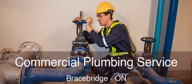  Commercial Plumbing Service Bracebridge - ON