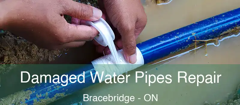  Damaged Water Pipes Repair Bracebridge - ON