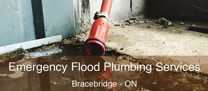  Emergency Flood Plumbing Services Bracebridge - ON