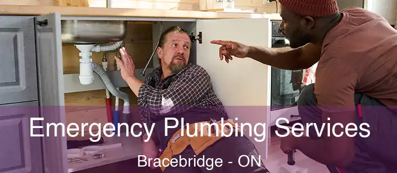  Emergency Plumbing Services Bracebridge - ON