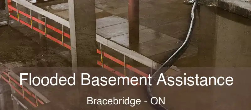  Flooded Basement Assistance Bracebridge - ON