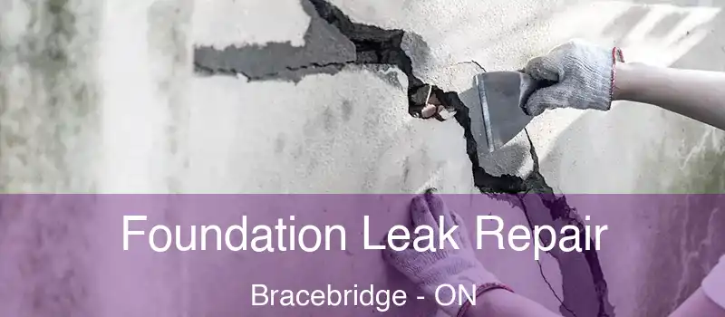  Foundation Leak Repair Bracebridge - ON