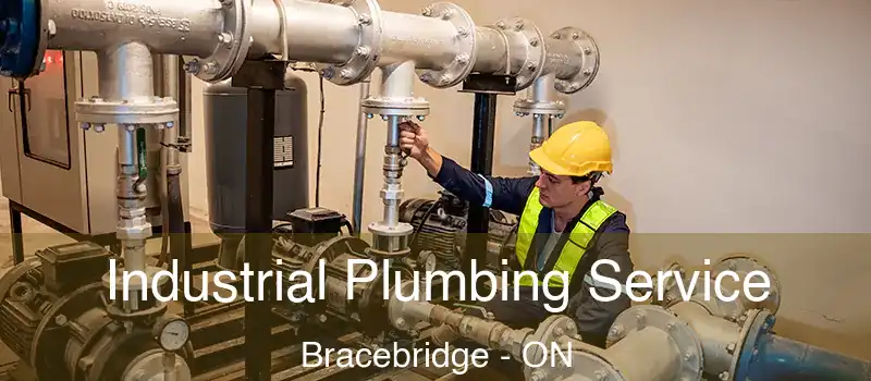  Industrial Plumbing Service Bracebridge - ON