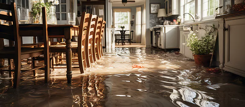 Flooded House Help Near Me in Bracebridge, Ontario