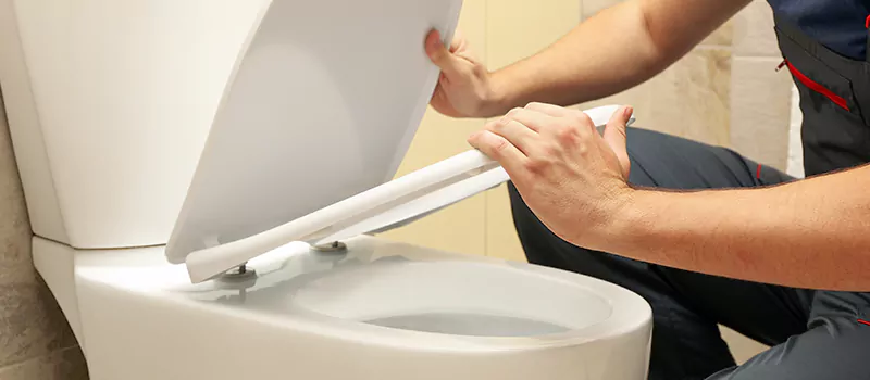 Damaged Toilet Parts Replacement Services in Bracebridge, ON