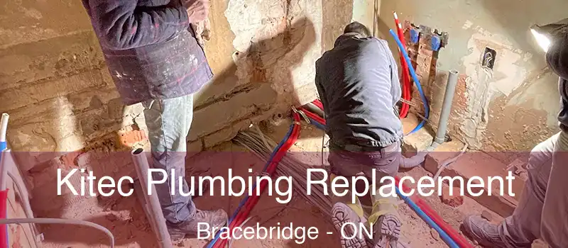  Kitec Plumbing Replacement Bracebridge - ON