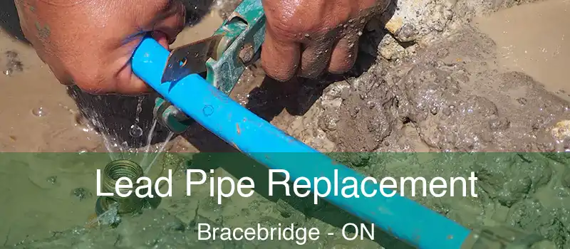  Lead Pipe Replacement Bracebridge - ON