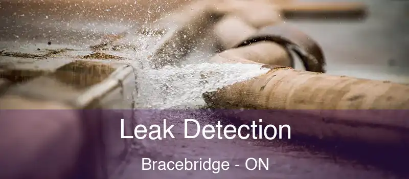  Leak Detection Bracebridge - ON