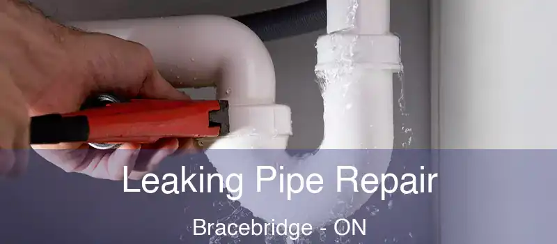  Leaking Pipe Repair Bracebridge - ON