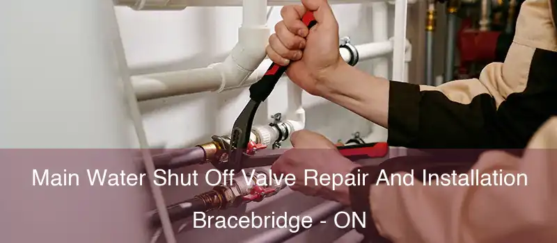  Main Water Shut Off Valve Repair And Installation Bracebridge - ON