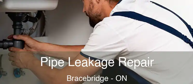  Pipe Leakage Repair Bracebridge - ON