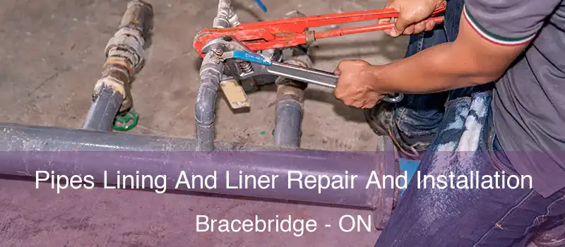  Pipes Lining And Liner Repair And Installation Bracebridge - ON