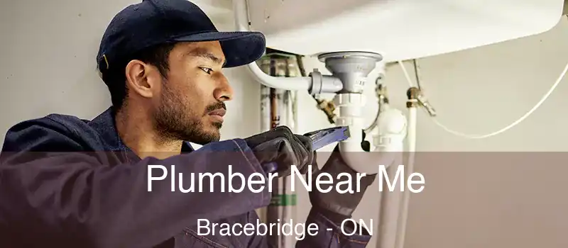  Plumber Near Me Bracebridge - ON