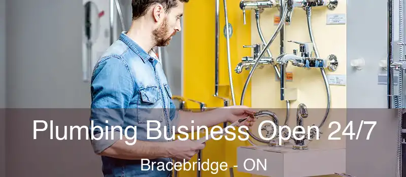  Plumbing Business Open 24/7 Bracebridge - ON