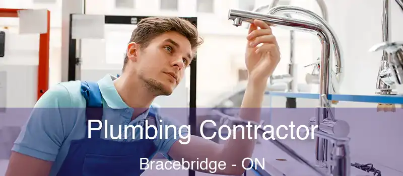  Plumbing Contractor Bracebridge - ON