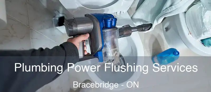  Plumbing Power Flushing Services Bracebridge - ON