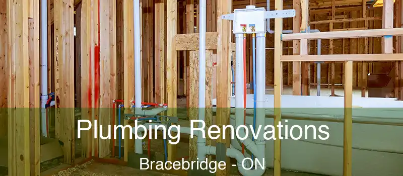  Plumbing Renovations Bracebridge - ON