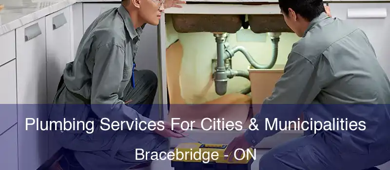  Plumbing Services For Cities & Municipalities Bracebridge - ON