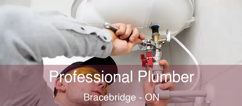  Professional Plumber Bracebridge - ON