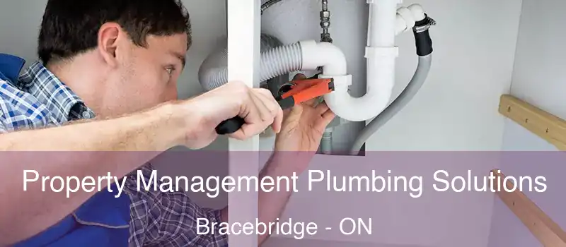  Property Management Plumbing Solutions Bracebridge - ON