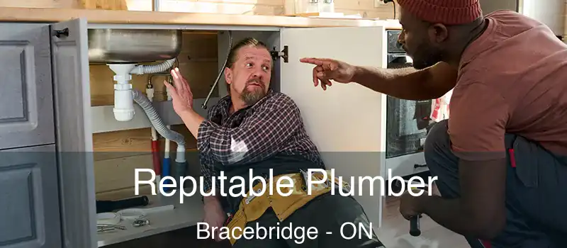  Reputable Plumber Bracebridge - ON