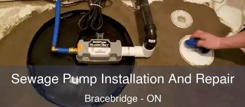  Sewage Pump Installation And Repair Bracebridge - ON