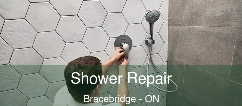  Shower Repair Bracebridge - ON