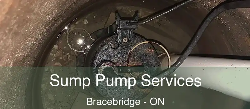  Sump Pump Services Bracebridge - ON