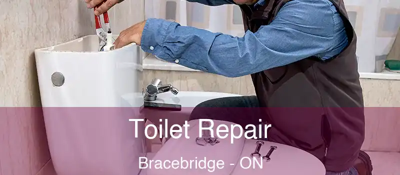  Toilet Repair Bracebridge - ON