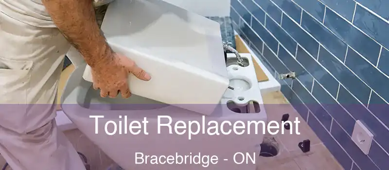  Toilet Replacement Bracebridge - ON