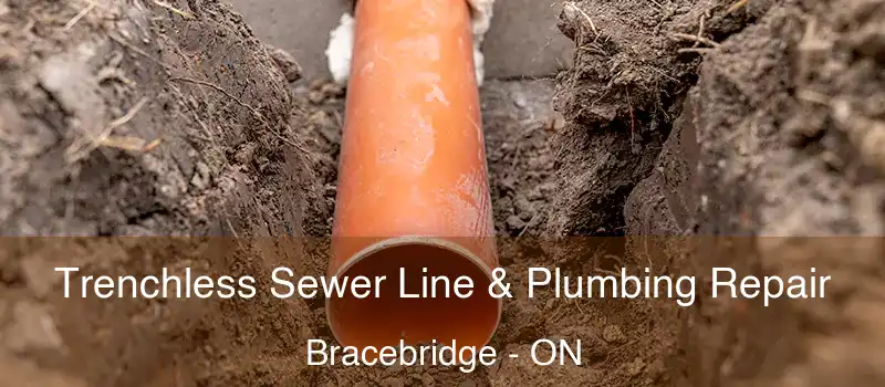  Trenchless Sewer Line & Plumbing Repair Bracebridge - ON