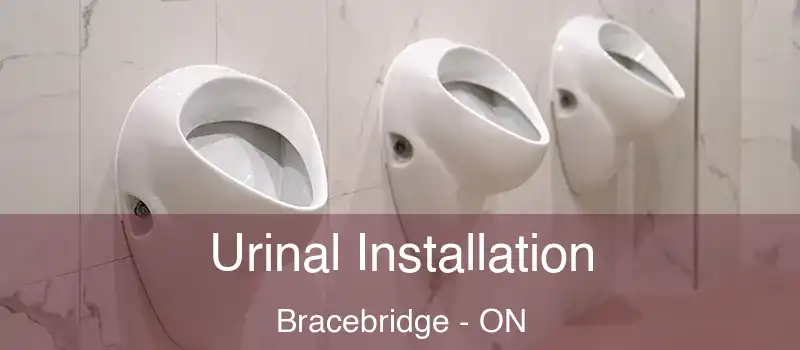  Urinal Installation Bracebridge - ON