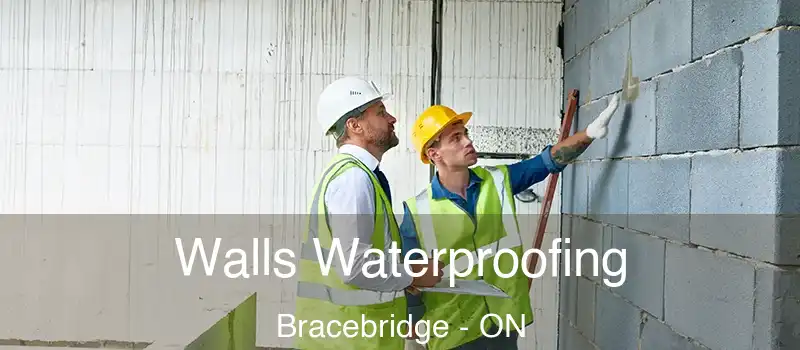  Walls Waterproofing Bracebridge - ON