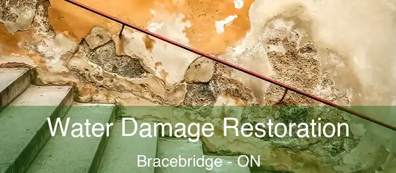  Water Damage Restoration Bracebridge - ON