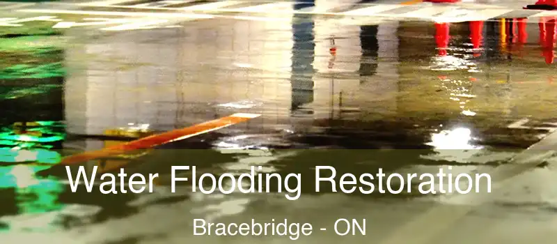  Water Flooding Restoration Bracebridge - ON