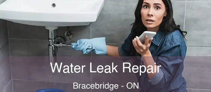  Water Leak Repair Bracebridge - ON