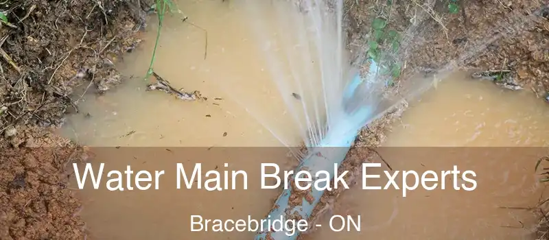  Water Main Break Experts Bracebridge - ON